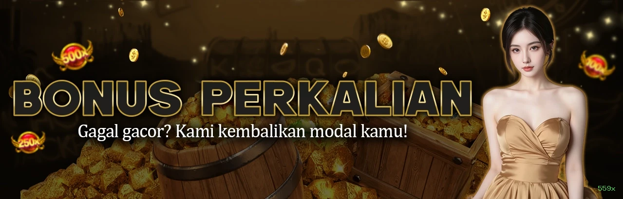 Login seguro na 559x